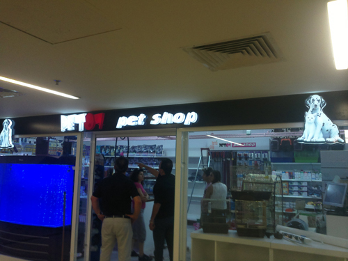 Petshop 07